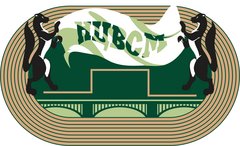 Муниципальное автономное учреждение города Новосибирска Новосибирский Центр Высшего Спортивного Мастерства
