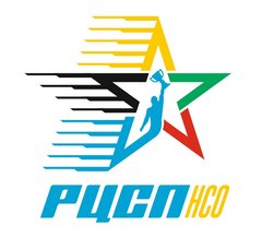 ГАУ НСО РЦСП СК и СР